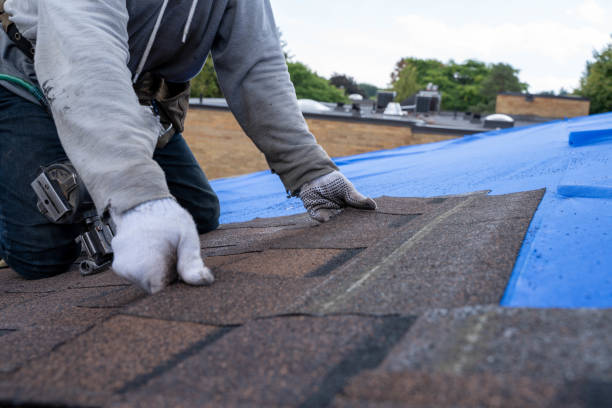 Best Commercial Roofing Services  in Dell Rapids, SD