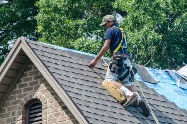 Best Roof Waterproofing Services  in Dell Rapids, SD